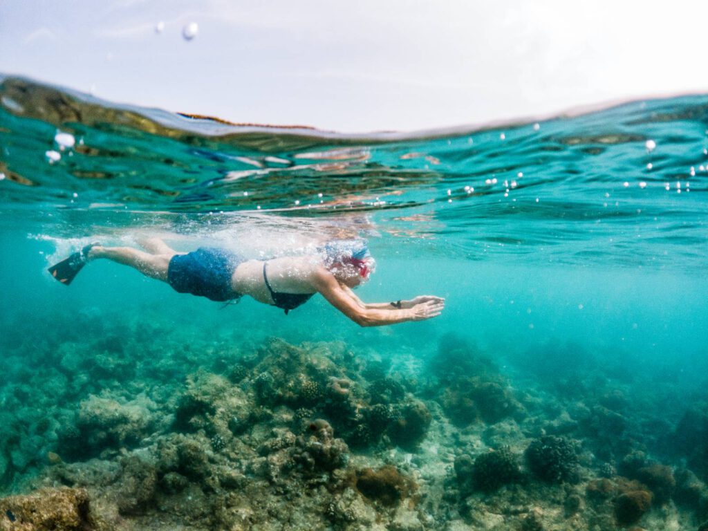 best caribbean islands for snorkeling